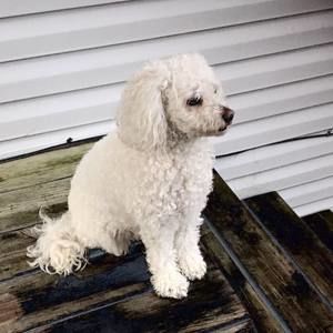 Meet your Posher, Ajla